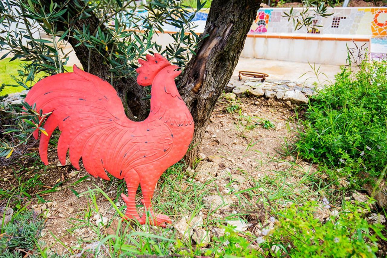 ריקאדי Gallo Fino מראה חיצוני תמונה